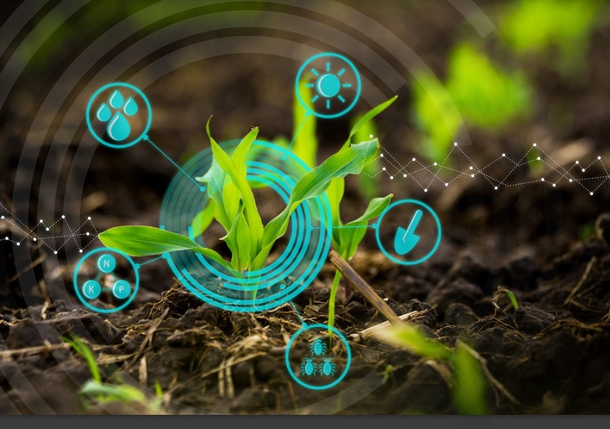 XPM 11052 Principles of Soil Science - 2026