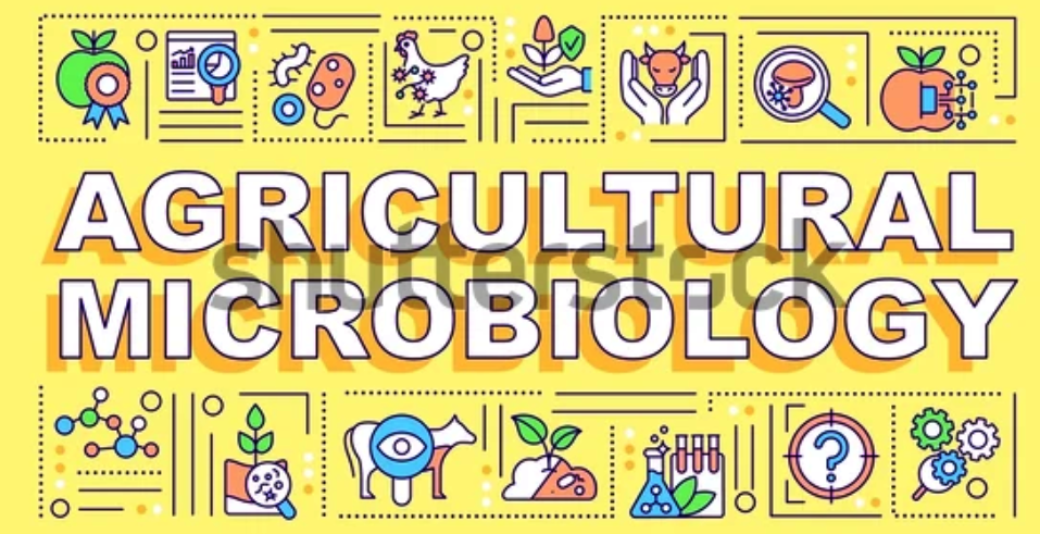 PM 12042 Agricultural Microbiology - 2025/26