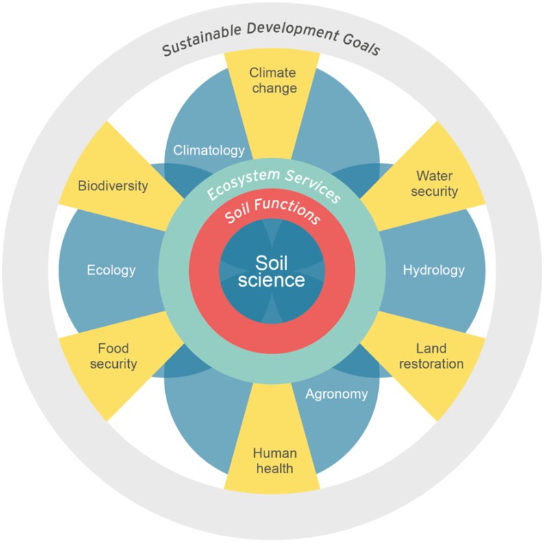 PM 12032 Principles of Soil Science - 2025/26