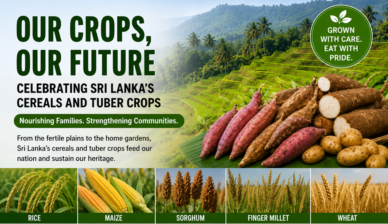 HC 12023 Cereal, Root and Tuber Crop Production - 2025/26