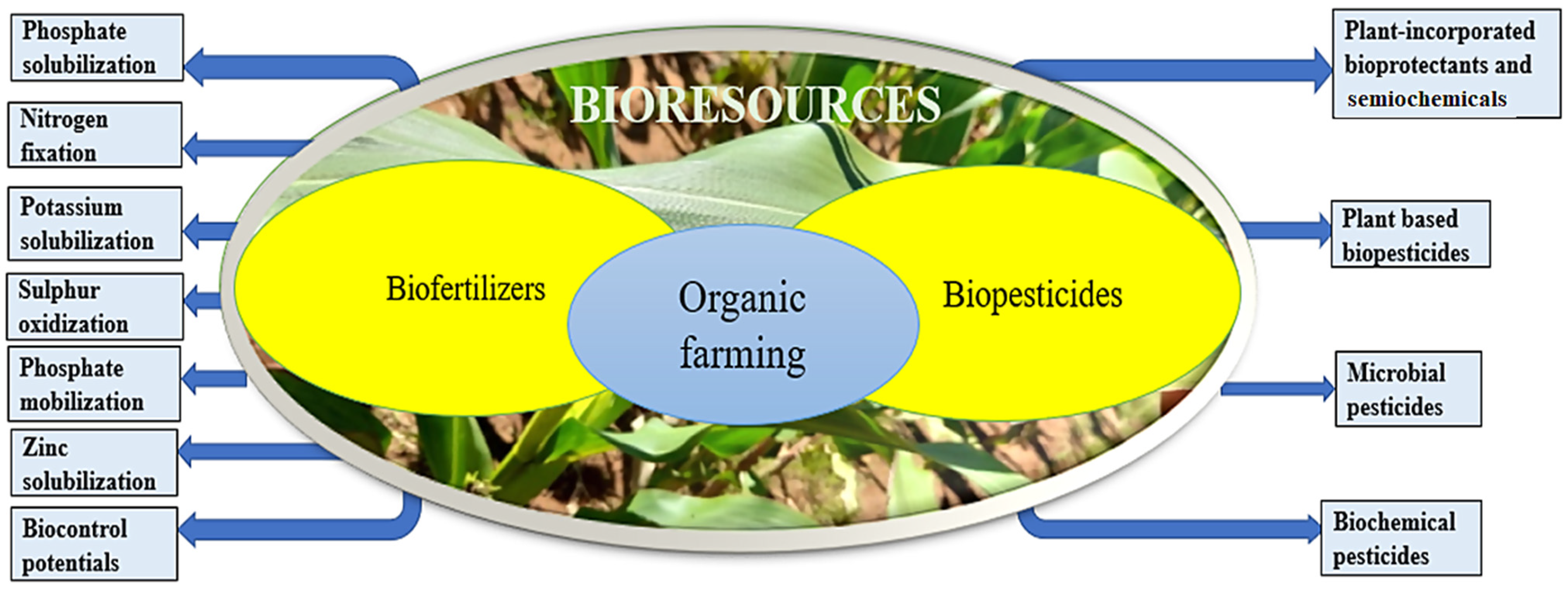 MAS-CC 71032 Bio Resources &amp; Soil Nutrient Management - 2026