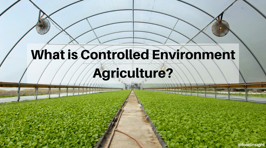 DMAT 11023 Controlled Environment Agriculture - 2026