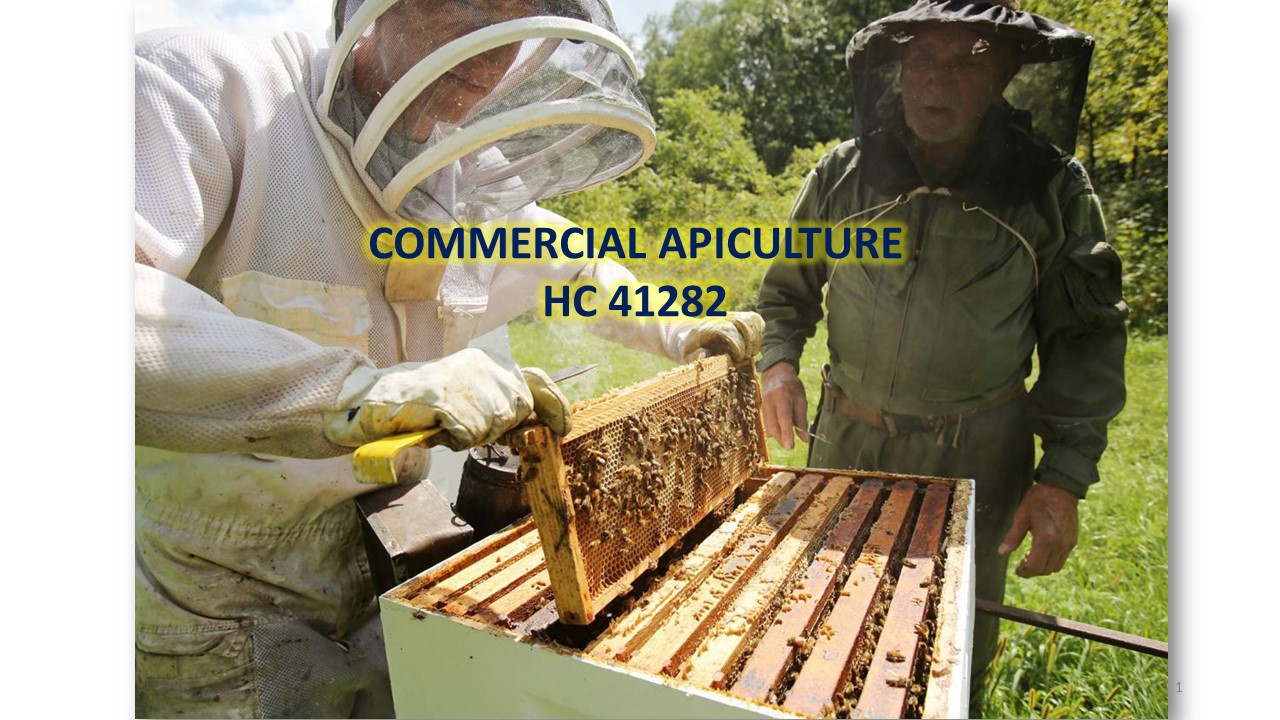HC 41282 - Commercial Apiculture - 2026/27