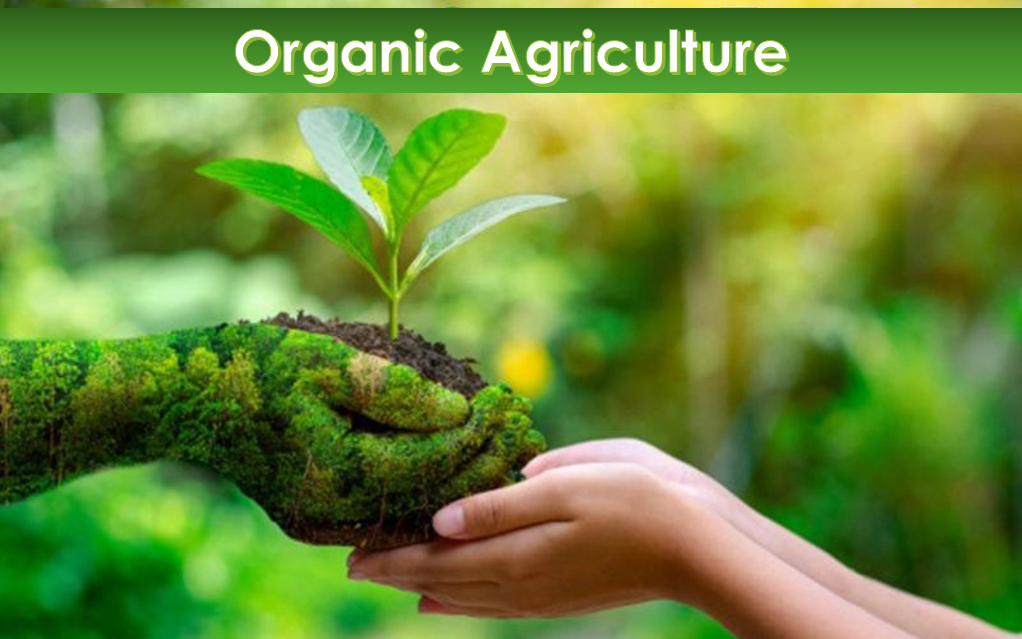 PM 41322 Organic Agriculture - 2022