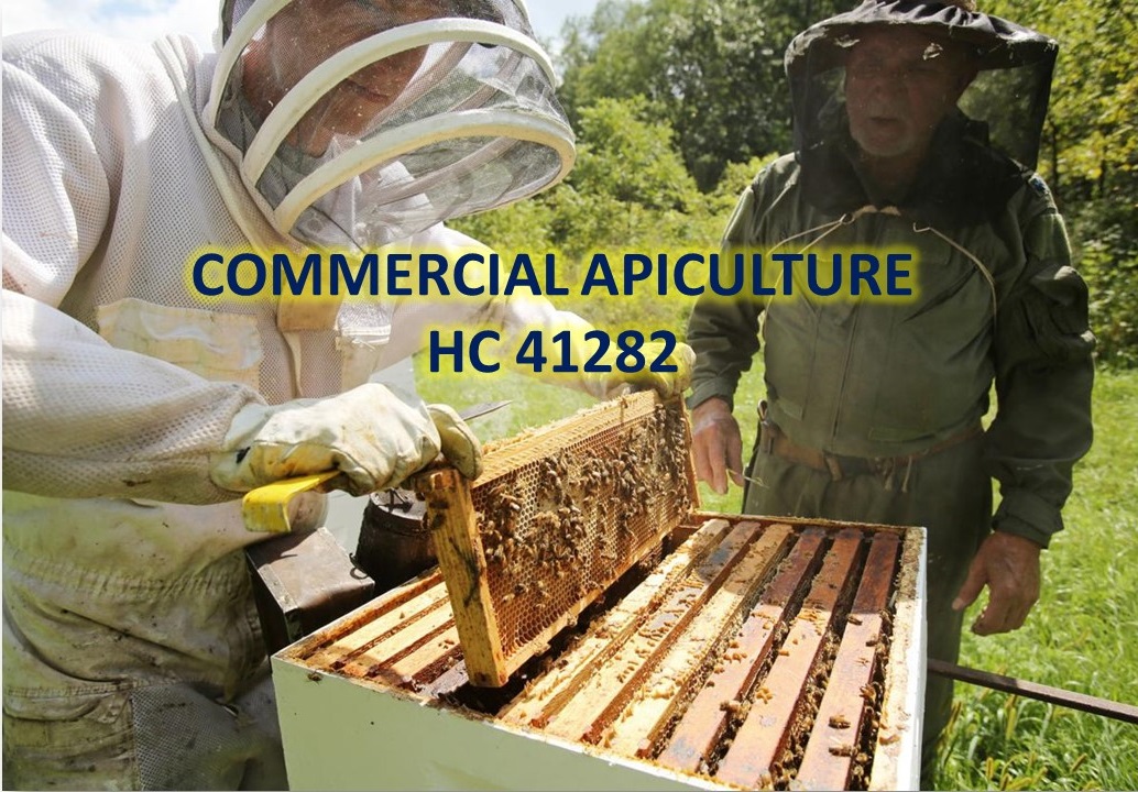HC 41282 Commercial Apiculture - 2022