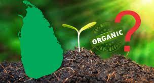 XPM 22332 Eco-Friendly Technologies &amp; Organic Agriculture - 2022