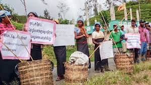 XPM 22282 Socio-Economic, Policy &amp; Legal Environment for Plantation Management - 2022