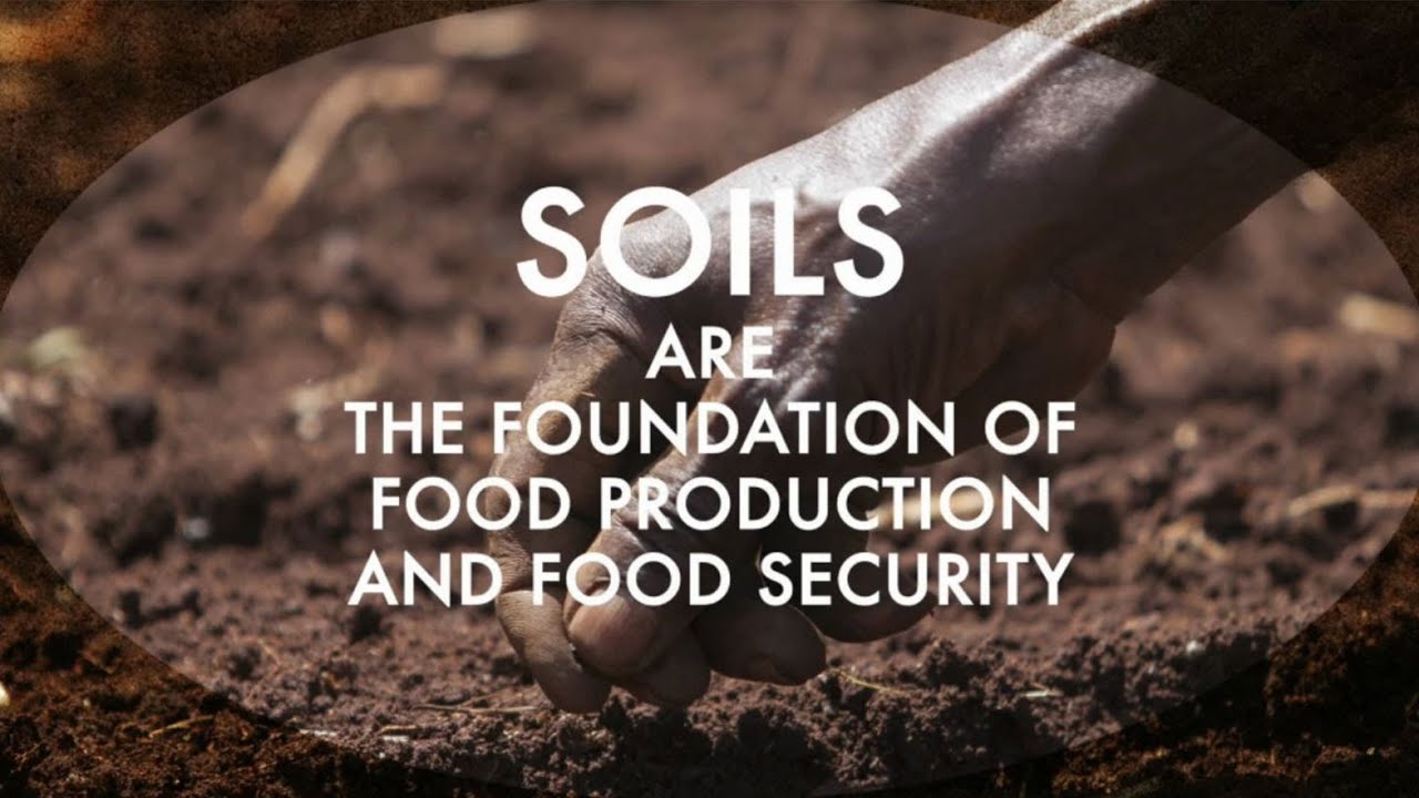 PM 12032 Principles of Soil Science - 2022/23