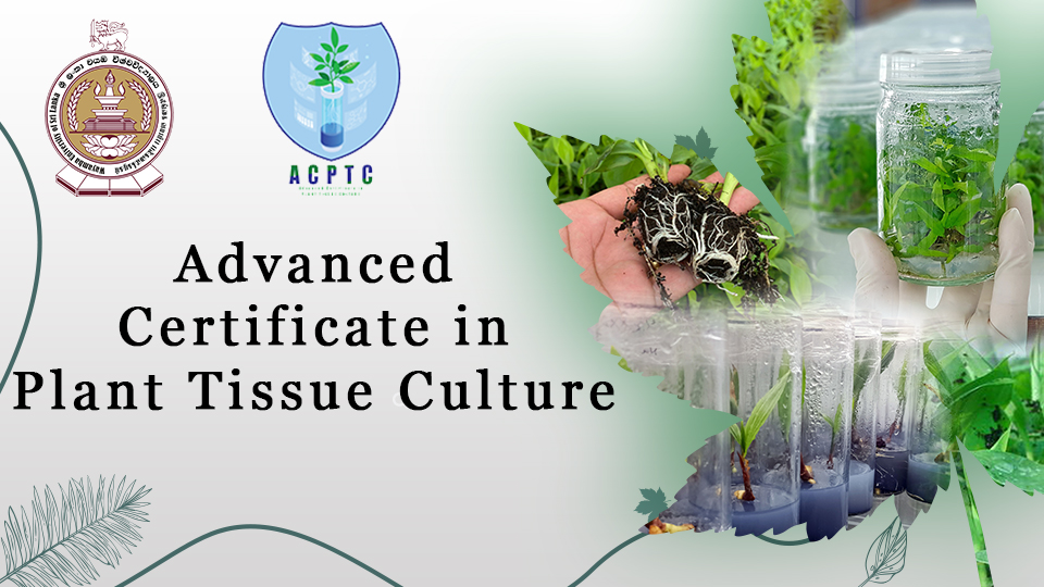Advanced Certificate in Plant Tissue Culture - Intake 01