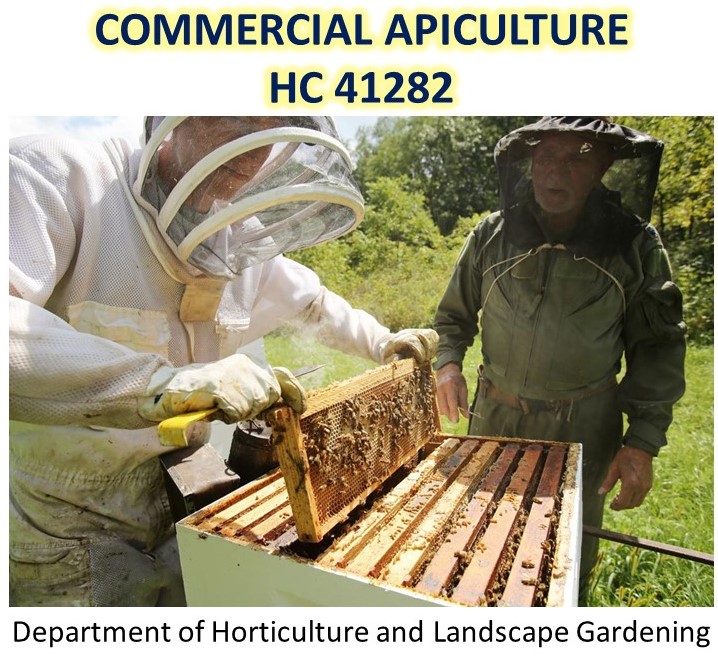 HC 41282 Commercial Apiculture - 2023/24