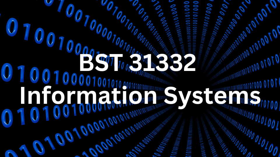 BST 31332 Information Systems - 2022