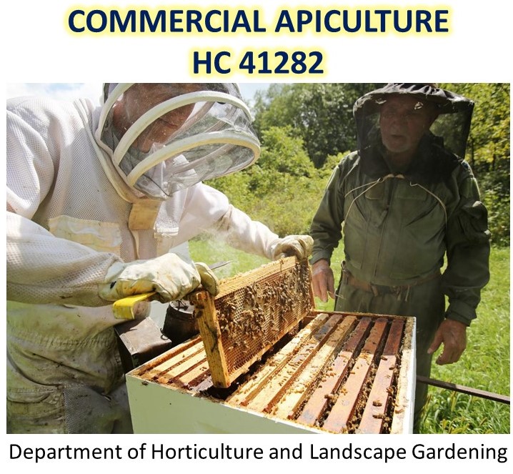 HC 41282 - Commercial Apiculture - 2024/25