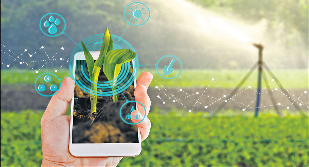 DMAT 11052 e-Agriculture - 2025
