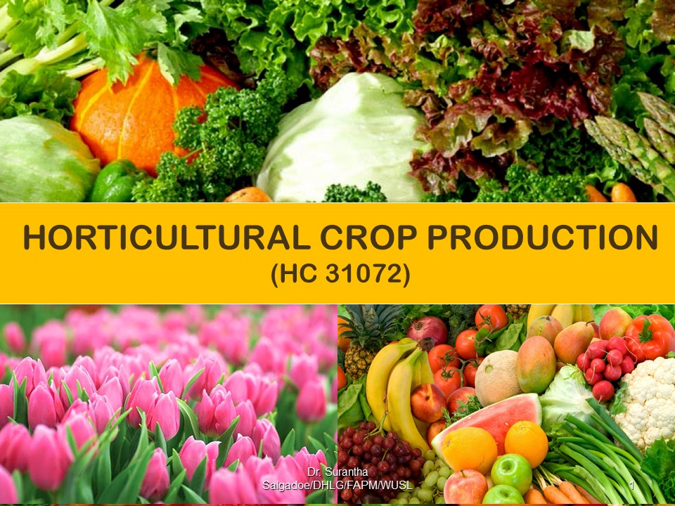 HC 31072 Horticultural Crop Production - 2022