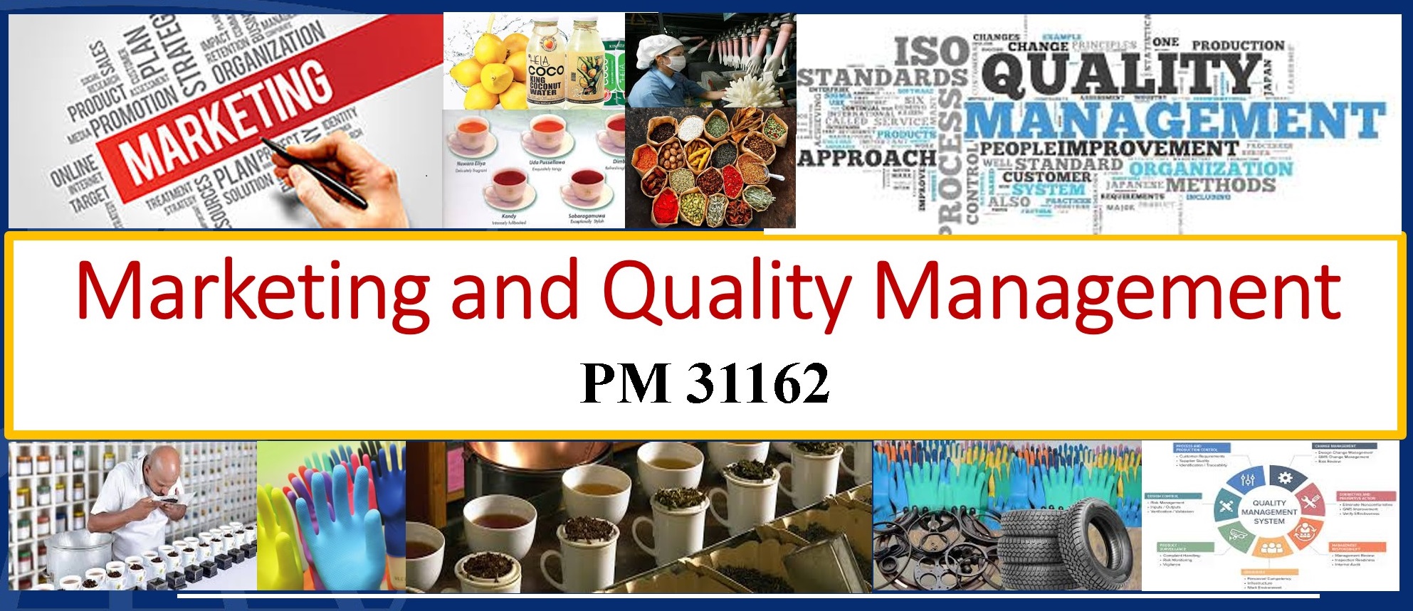 PM 31162 Marketing and Quality Management - 2022