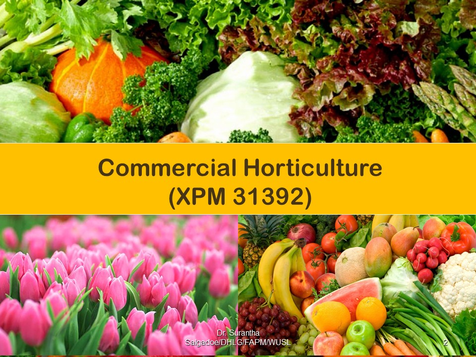 XPM 31392 Commercial Horticulture - 2025
