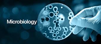 PM 12042 Agricultural Microbiology - 2024/25