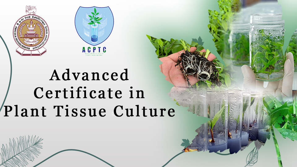 Advanced Certificate in Plant Tissue Culture - Intake 03
